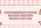 oneonenews Power Matrix Destiny Guide for You
